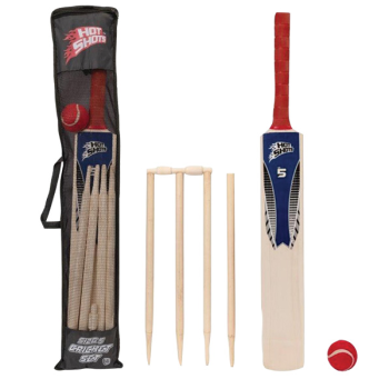 Cricket Set (Size 5)